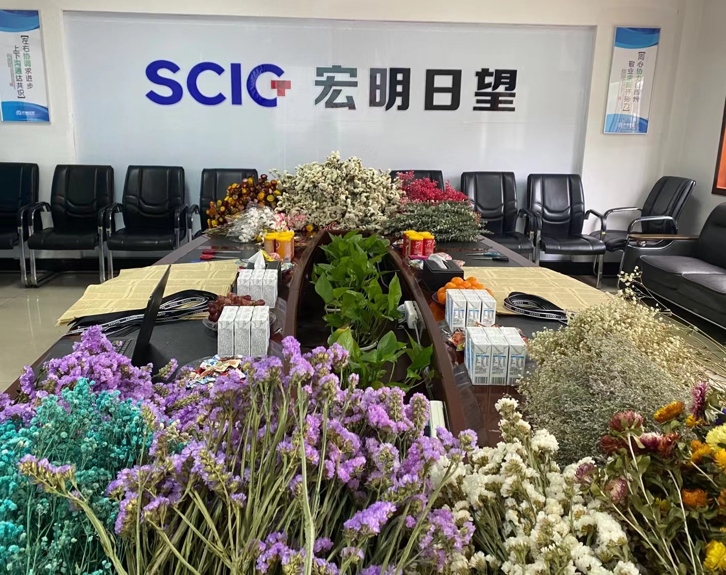 荷兰vs波兰,赛事平台
,宏明日望,株洲电子科技,湖南电容器,株洲电容器,电容器